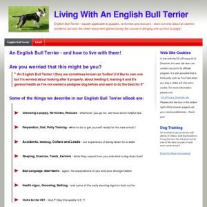 English Bull Terrier | How to live with and without them