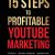 The 15 Steps To Profitable YouTube Marketing: The Proven Method For Building Money-Making YouTube Ad Campaigns